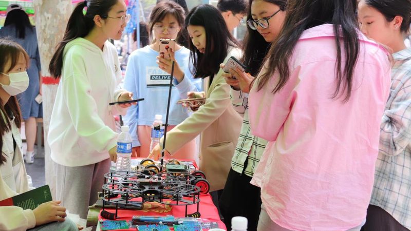 定制化与标准化：教育机构数字化解决方案的差异化选择**